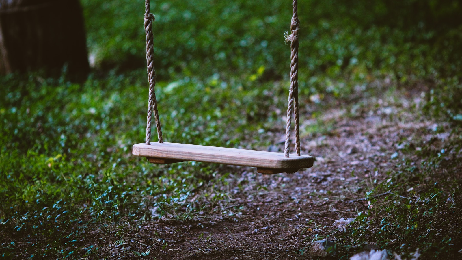 A wooden swing in a green park