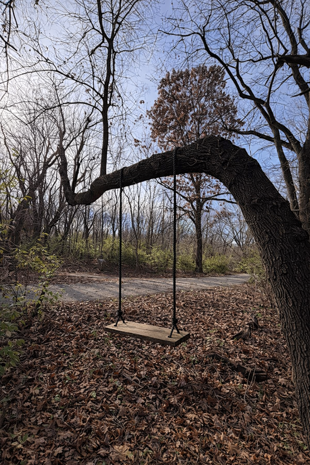 The park swing that inspired The Mood Swing